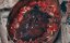 ��������� 2 / Terrifier 2 - �����