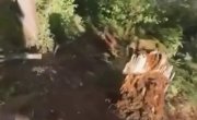 селфи пошло не по плану