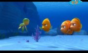 ����� � �������� (2014) / Sammy & Co - 1 �����, 36 �����