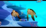 ����� � �������� (2014) / Sammy & Co - 1 �����, 35 �����
