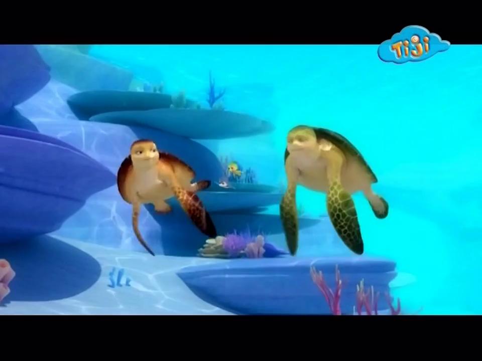 ������