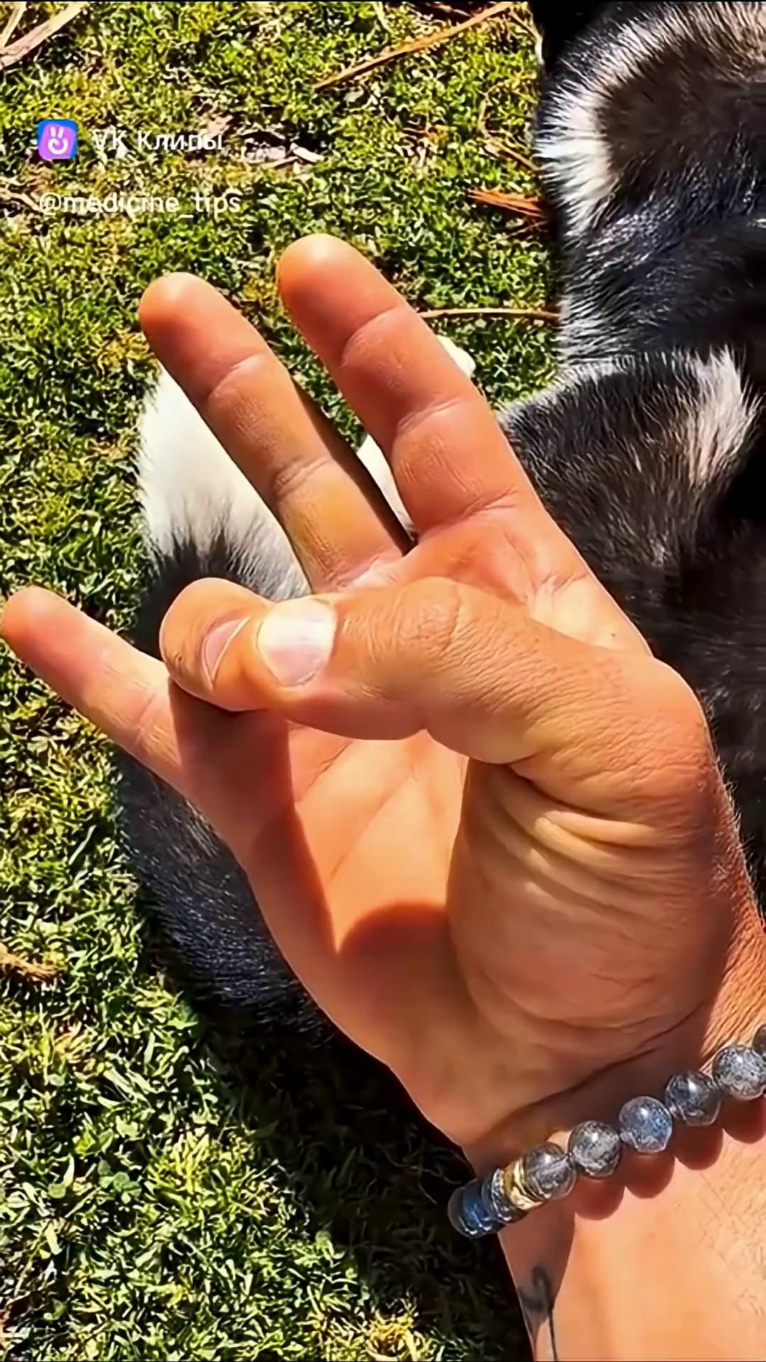 ������