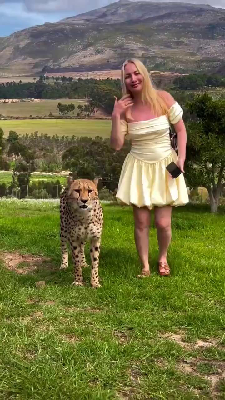 ������