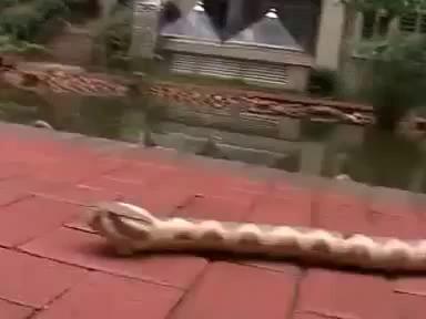 ������