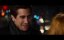    / Nocturnal Animals -   2