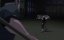  / The Condor - 
