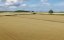 ����� ��������� / Clarkson's Farm - 5 �����, 8 �����