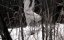    / Saints and Soldiers - 