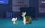 ���������� � ������-�����: ����� ���� �������� ���������� / Animaniacs x MasterClass: The Brain Teaches World Domination - ������� �����