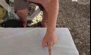 ���������� ���� ���� ������ �� �����
