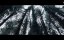   / Quicksand -   