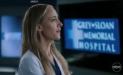 �������� ������� / Grey's Anatomy - 22 �����, 12 �����
