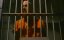 �������� �� ������ ���������� / A Letter from Death Row - �������