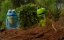  :    / Kermit's Swamp Years - 
