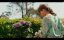 ���������� / The Sommerdahl Murders - 5 �����, 3 �����