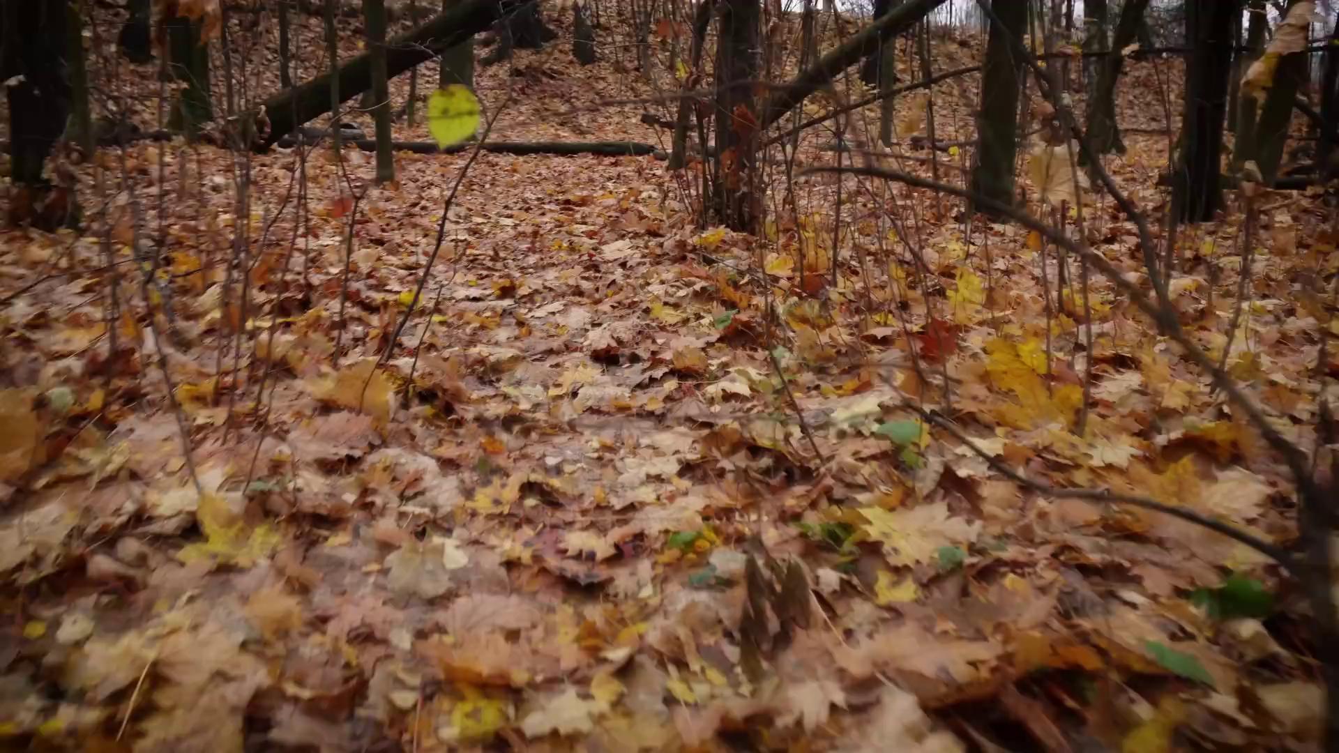 ������