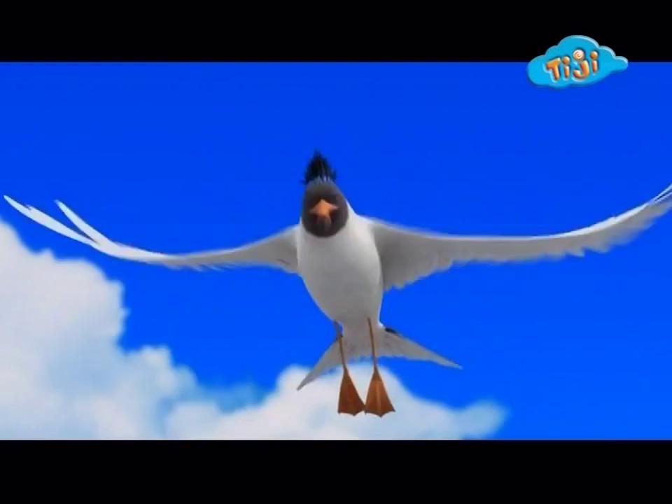 ������
