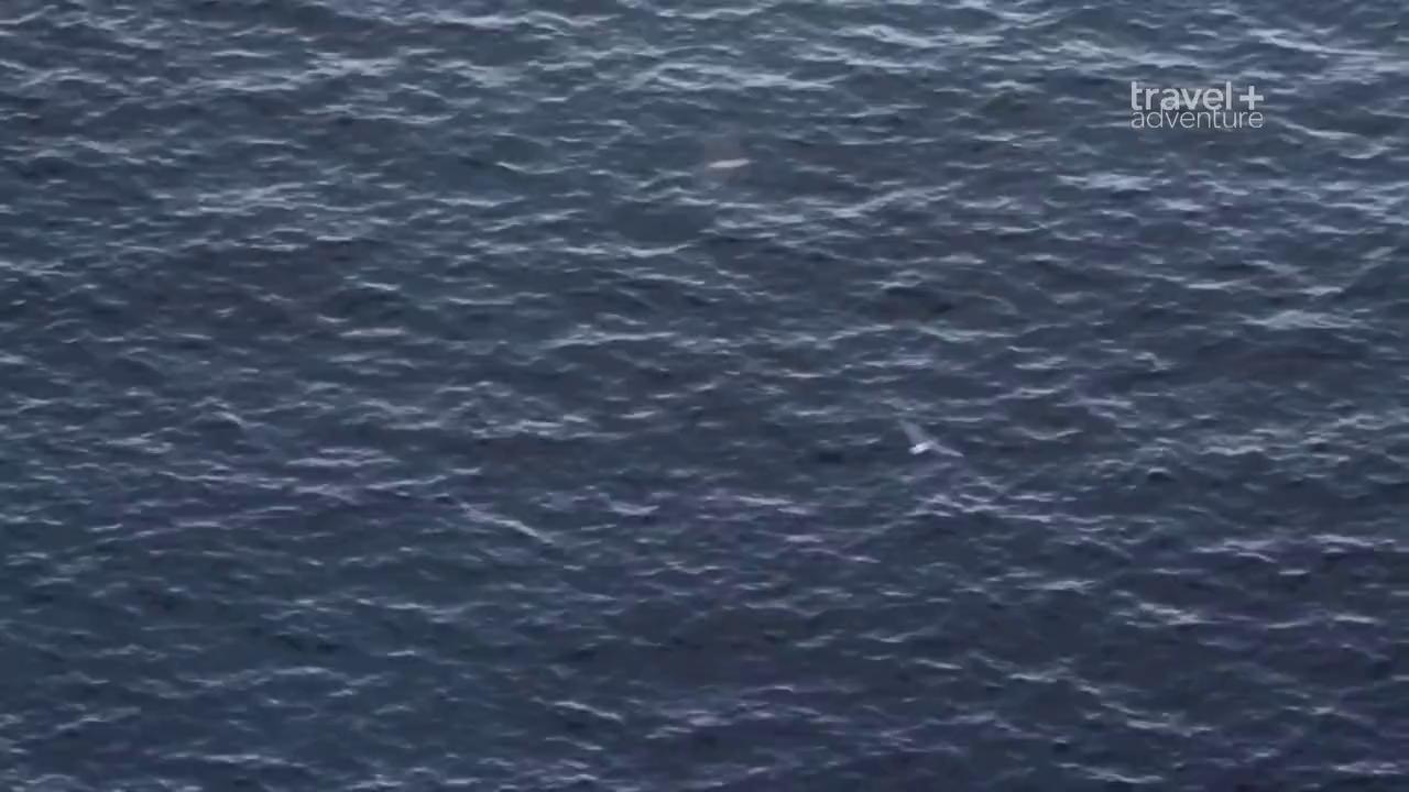 ������
