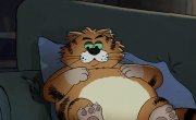 ������� ���� / Ricky Gervais Alley Cats - 1 �����, 3 �����