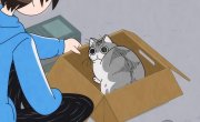    / Yoru wa Neko to Issho - 3 , 38 