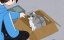    / Yoru wa Neko to Issho - 3 , 38 