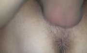 �������� (286)
