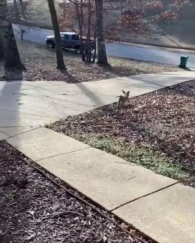 ������