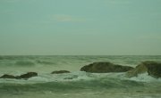   / Monster Island - 