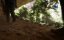   / Die ersten Amerikaner / The First Americans - 