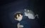    / Yoru wa Neko to Issho - 3 , 35 