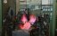 Made in Germany.  -  