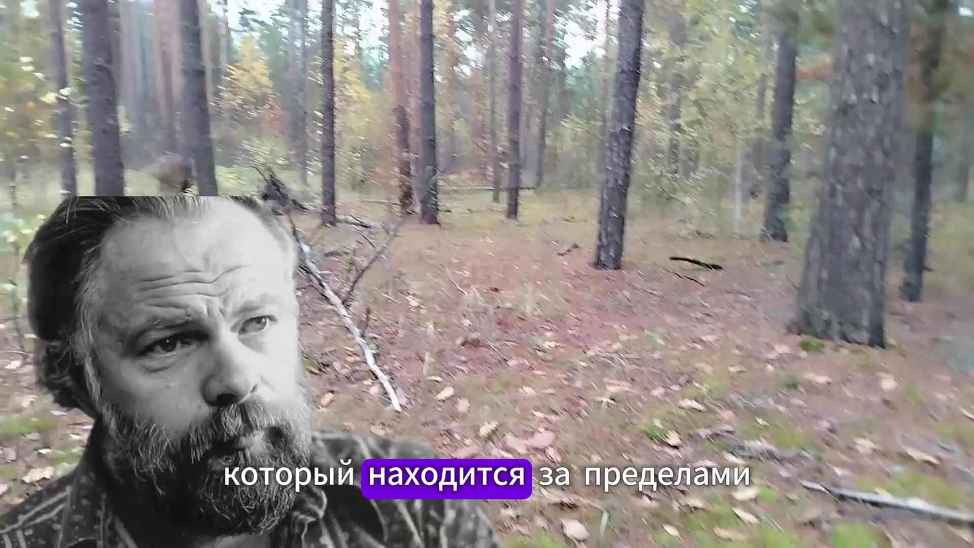 ������