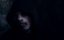   / Sawney: Flesh of Man / Lord of Darkness - 