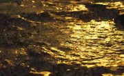 ����������� �� ������� ���� / Returning On The Golden Fields - �����