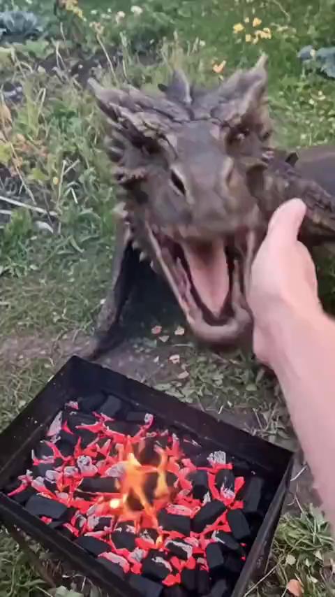 ������