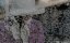 ������  / The Terror - 2 �����, 3 �����