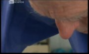 ��� ����������� ������� � ������� / Wallace and Gromit's World of Invention - 1 �����, 1 ����� "Nature Knows Best"