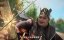   ,    / Shaonian Baima Zui Chunfeng - 2 , 10 