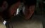  / The Vanishing - 