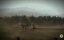  :    / China's Last Stand - 