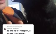 ��������� ����� ������� 3