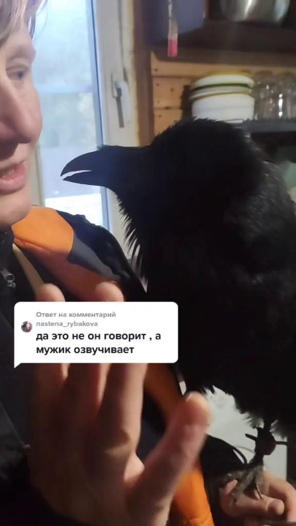 ������
