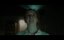   / Portrait of God - 