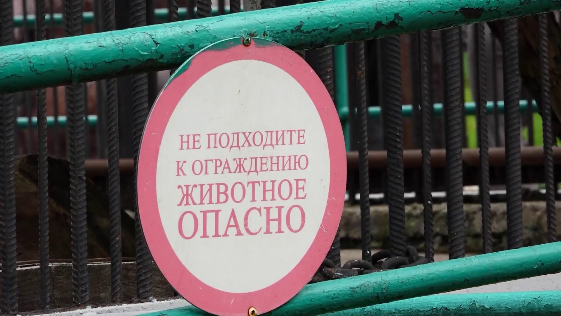 ������