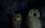    7:   / Alpha and Omega 7: The Big Fureeze - 