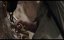 ����� 2 ̸����� ����� / Fall 2: Deadpoint � ������� �2 (��������, 2026)