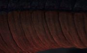 �������� ������ / Zhe Tian - 1 �����, 175 �����