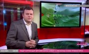  BBC. 21.01.2014.      ,   .   ,      