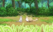 ��� � ������ / Neko to Ryuu - 1 �����, 11 �����