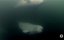   / Icy Coast - 
